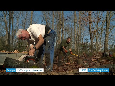 L'affouage, une solution pour se chauffer moins cher