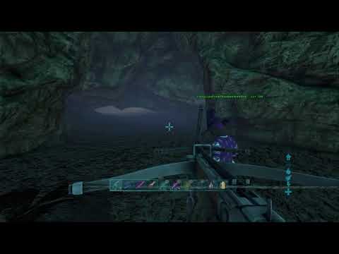 Ghost Fibercraft/Defending Crouch Bear/ D W I