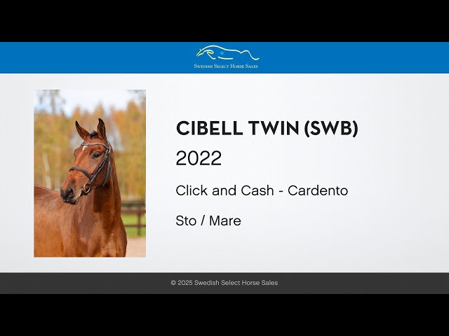 Cibell Twin - Free jumping