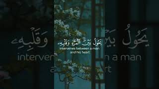 Download lagu Bacaan Al-Quran yang Menenangkan ❤ mp3 Download lagu Bacaan Al-Quran yang Menenangkan ❤ mp3