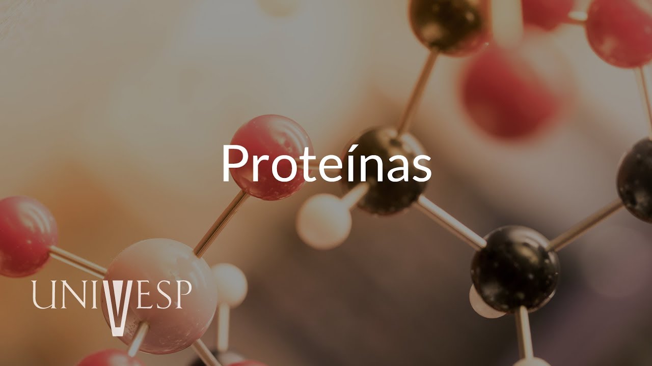 Bioquímica - Aula 07 - Proteínas