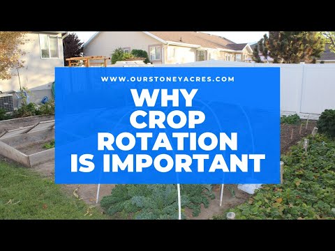Why Garden Crop Rotation is Important [Part 1]