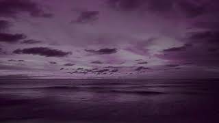 JIM STEINMAN LOST BOYS AND GOLDEN GIRLS