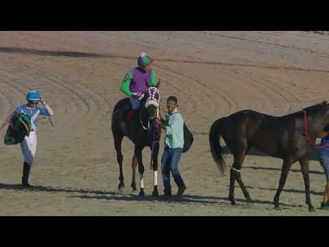 230226 c08 LINDA DAMA