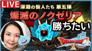 ノクゼリア２にパラディンで初勝利したい『ドラゴンクエスト10』顔出し女性実況生配信