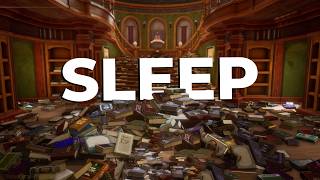 I Sort A Magic Library, You Sleep
