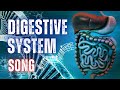 The Digestive System Song with Lyrics