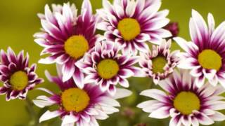 Scarborough Fair  VERSIÓN David Arkenstone