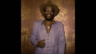 (FREE) Stevie Wonder x Marvin Gaye x Gospel Soul Type Beat "Serenade" 70s vibe