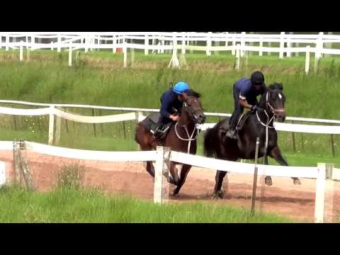 2012-11-27 April Rock trackwork