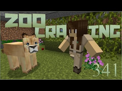 New Cat in the Cougar Exhibit! 🐘 Zoo Crafting: Episode #341 [Zoocast]