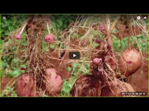 2017 12 10 AM Public Teaching in Vietnamese - Buổi giảng công cộng bằng tiếng Việt