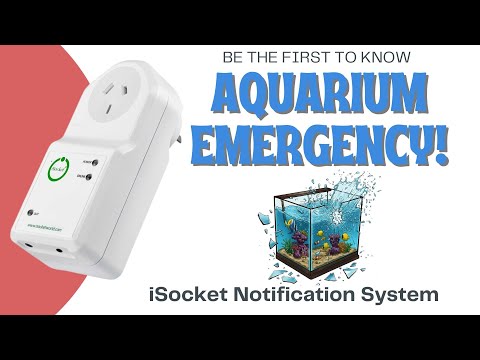 Demo of how the iSocket Water Sensor protects aquariums and other fish tank setups Demo of how the iSocket Water Sensor protects aquariums and other fish tank setups