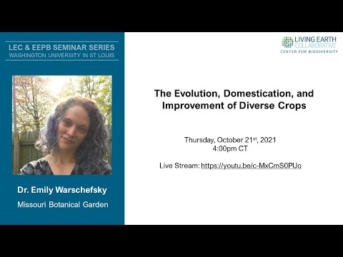 Dr. Emily Warschefsky - The Evolution, Domestication, and Improvement of Diverse Crops