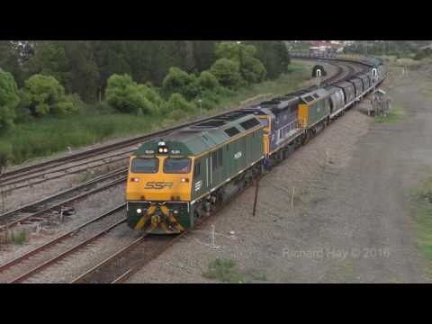 RL304, C504 & RL305 - Carrington to Beanbri - 30th December 2016