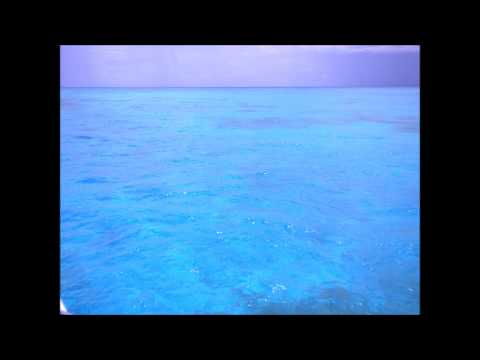 No balanço do mar (Summer 2014) - Dartanhã