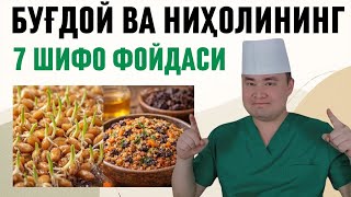 БУҒДОЙ ВА НИҲОЛИДАН АЖОЙИБ МАЛҲАМ ТАЙЁРЛАБ 7 ШИФОСИНИ ОЛИНГ, СУЯК БЎҒИМ, ЮРАК