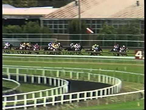 1994 Golden Slipper - Danzero