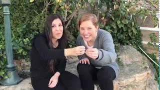 "Yo Brindo" en lengua de signos