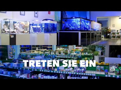 Unser Geschäft - Aqua Tropica