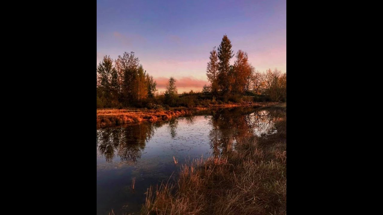 Class one color and design