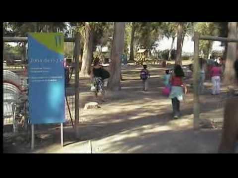 Unza Unza Time. Emir Kusturica