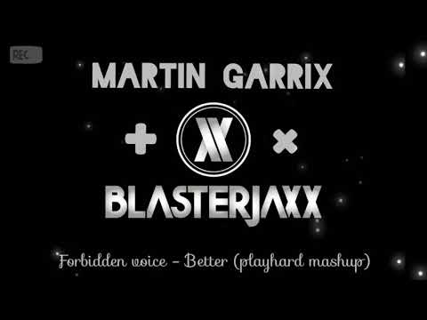 Martin Garrix - Forbidden voice vs Blasterjaxx - Better (playhard_vs mashup) #edm