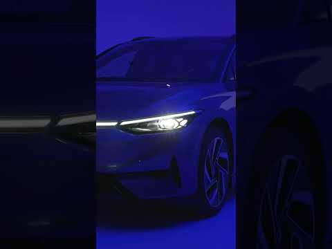 Caught in a blue haze 🔵✨