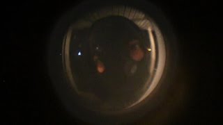 Here's That Rainy Day Music Video