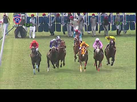 RM32 R4 | Silver Heritage | P.C.Orffer