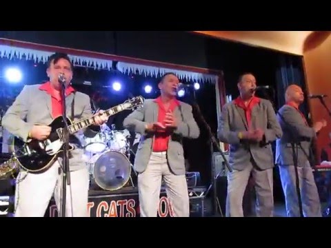 The Roomates, 'I wonder why', Wildest Cats in Town, Nov 2015