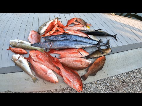 500 POUNDS of FISH in 60 MINUTES! Pulley Ridge & Dry Tortugas Fishing *Catch, Clean & Cook*