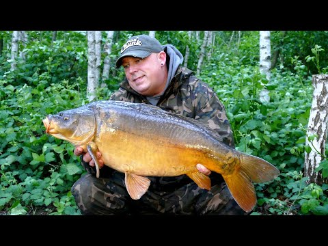 Karpfenangeln VTB 64 - Instantsession am neuen See // Mit Unterwasseraufnahmen