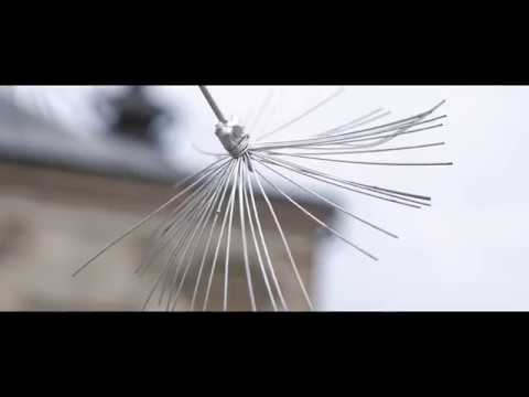 download lagu mp3 mp4 Metal Dandelion Sculpture, download lagu Metal Dandelion Sculpture gratis, unduh video klip Metal Dandelion Sculpture