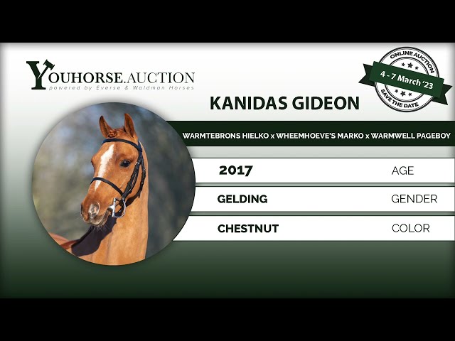 Kanidas Gideon