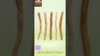 Download lagu MISWAK - A forgotten SUNNAH mp3 Download lagu MISWAK - A forgotten SUNNAH mp3