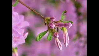 Falling In On It by eMiLy WeLLs with lyrics