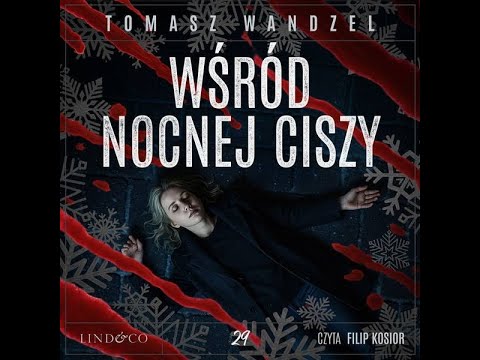 Wśród nocnej ciszy Komisarz Oczko 29 Autor Tomasz Wandzel Z Filip Kosior Kryminały po Polsku KSIĄŻKA