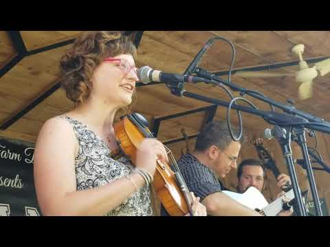 Heavy Traffic Ahead  / Laura Orshaw of Alan Bibey and Grasstowne