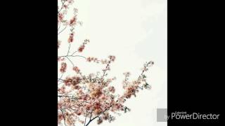 Bees - Ballroom Thieves