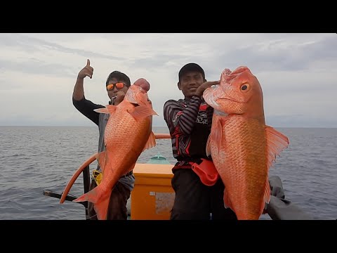 Double strike,babon ruby 19 kg dan 17 kg landed gaes. .#jigging#slowjigging#