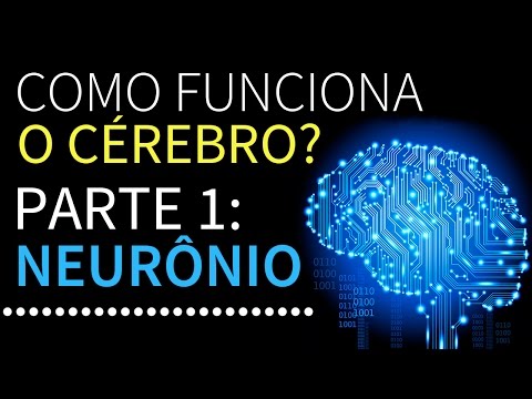 Como funciona o cérebro? | Parte 1: Neurônios | PEDRO CALABREZ | NeuroVox 009