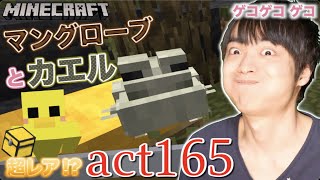 【マインクラフト】マングローブ&カエル発見キター!! マングローブにあるネザーゲートのチェストからあの超レア!?アイテムを初ゲット!!【セイハのセハクラ実況act165】
