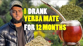 I DRANK YERBA MATE FOR 1 YEAR STRAIGHT | YERBA MATE 1 YEAR REVIEW