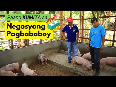 Paano Kumita sa Pag-aalaga ng Palakihing Baboy