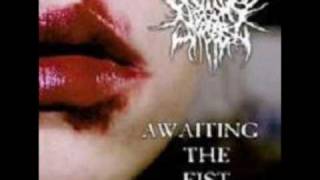 Music video thumbnail preview for Begging For Incest - Awaiting The Fist by Begging for Incest