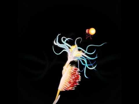 Twit One - Halt Mal (Visualizer by Elli Wallek)