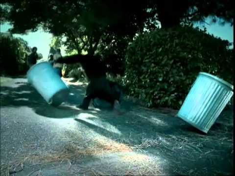 Trunk Monkey Eggs | Suburban Auto Group