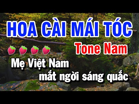 Hoa Cài Mái Tóc Karaoke Tone Nam ( Son Thứ Gm ) Huỳnh Lê