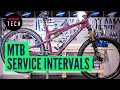 How Often Should You Service Your Mountain Bike MTB Maintenance Intervals